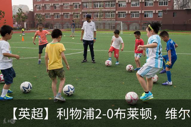【英超】利物浦2-0布莱顿，维尔茨造乌龙，伊萨克破门