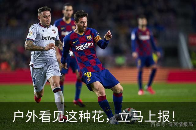 户外看见这种花，立马上报！