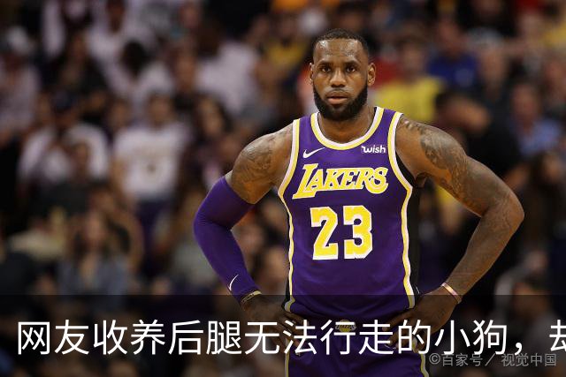 网友收养后腿无法行走的小狗，却在喂食时发现狗子居然能够正常行走…医生：你俩逗我呢？没病少折腾…