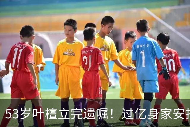 53岁叶檀立完遗嘱！过亿身家安排妥了，最难一栏却空着！